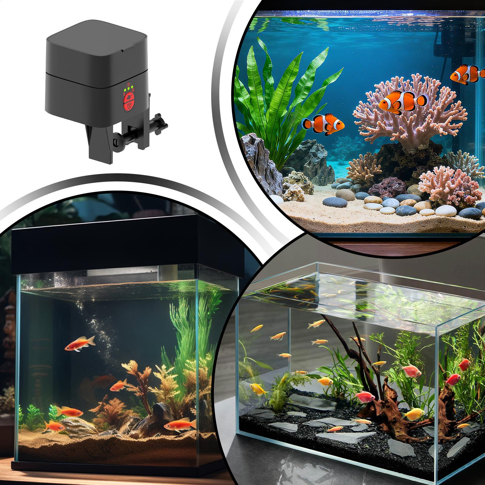 Auto Fish Feeder For Aquarium  - Fishing Line Dispenser ulasan dan harga